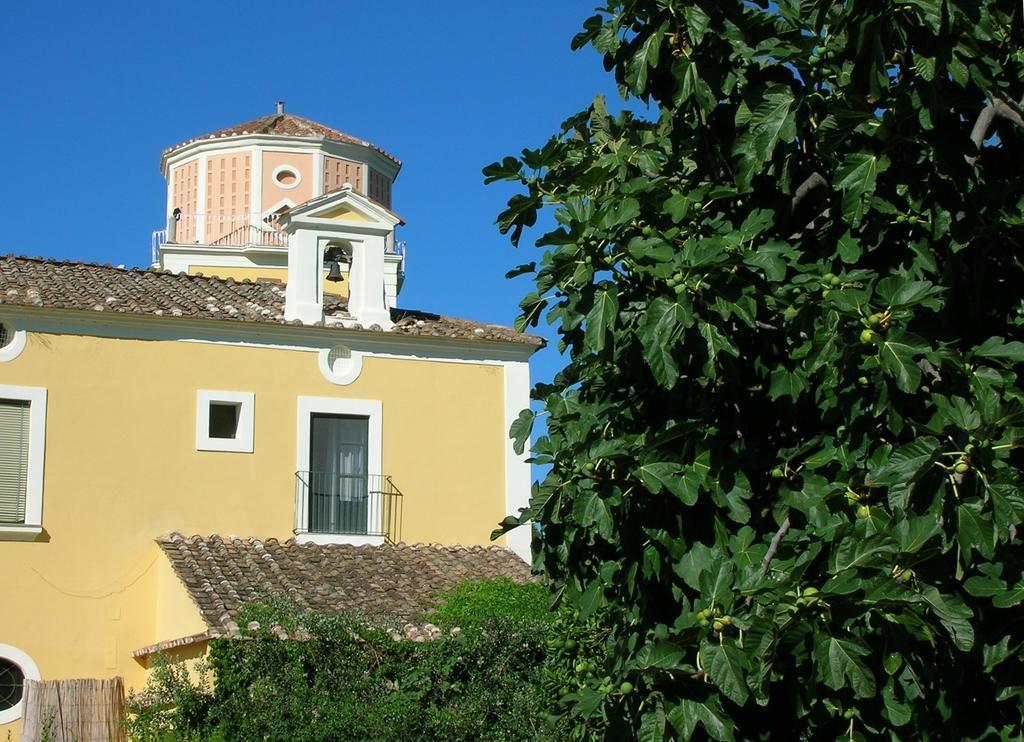 Farmstay La Morella Battipaglia Exteriér fotografie